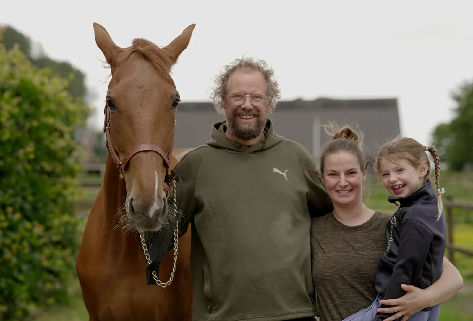 Paarden in de wei