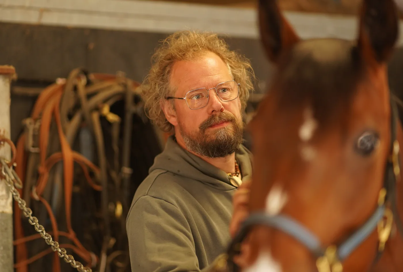 Paard wordt verzorgd op Stal De Plaet
