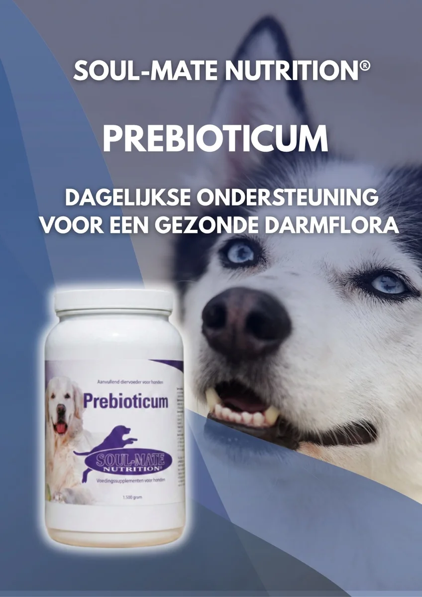 Soul-Mate Nutrition® Prebioticum