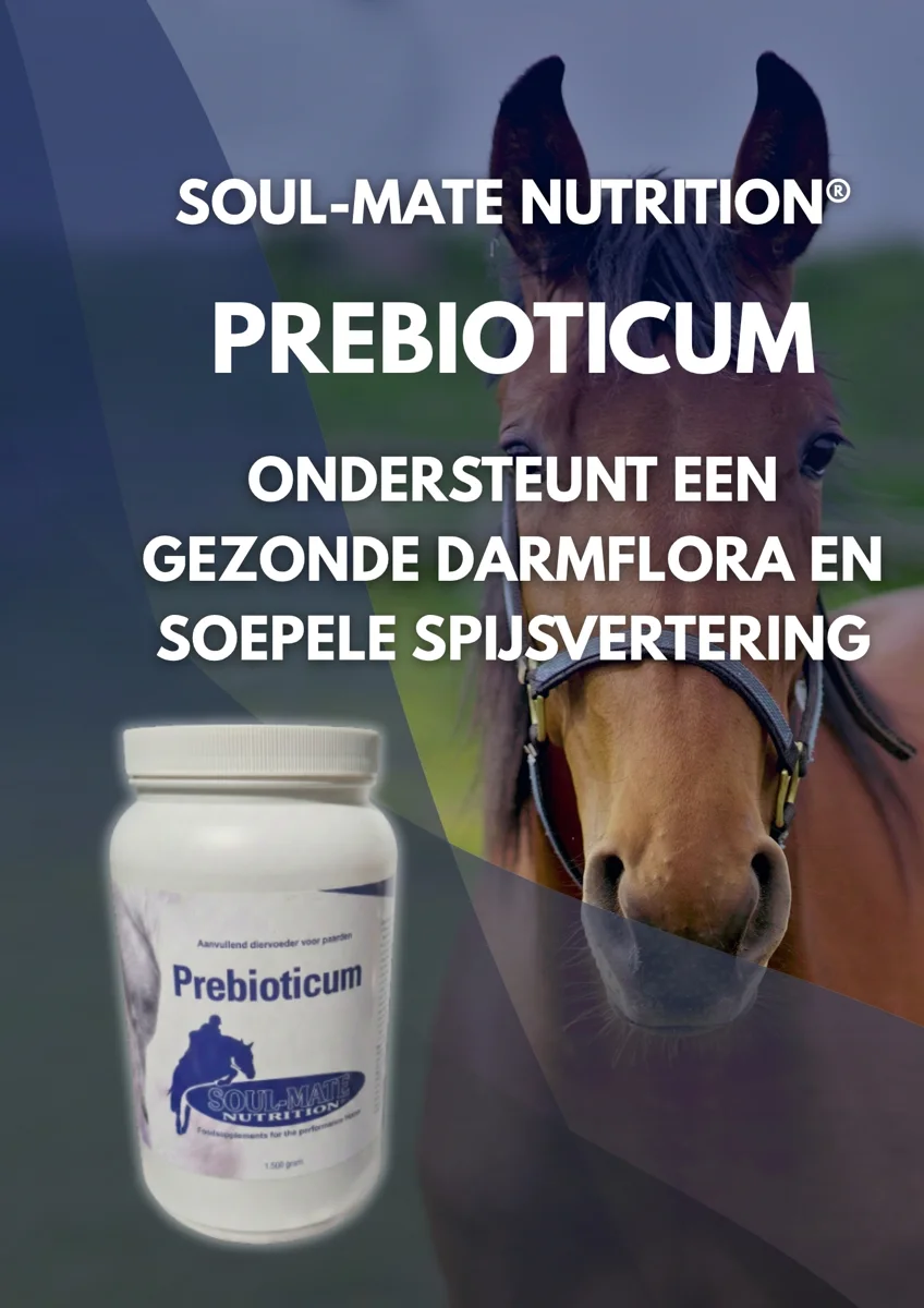 Soul-Mate Nutrition® Prebioticum